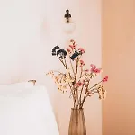 Mazi - Pied A Terre